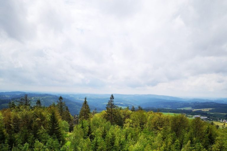 hoferland-image-h-001