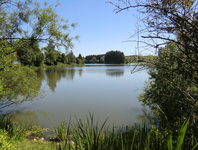 Quellitzsee-in-Tauperlitz